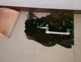 周村卫生间测漏水多少钱